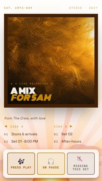 Vinyl Sleeve template preview